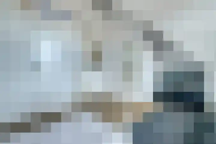 Koekoeksbloem 6 Dongen thumbnail 36