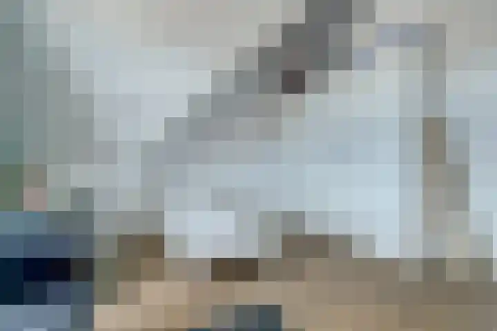Koekoeksbloem 6 Dongen thumbnail 37