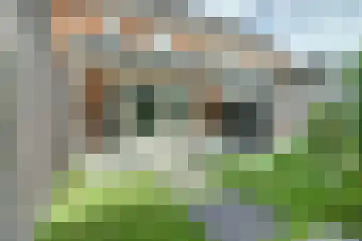 Koekoeksbloem 6 Dongen thumbnail 38