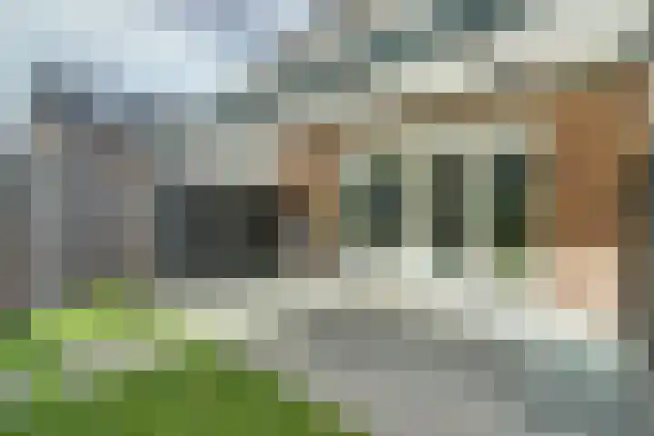Koekoeksbloem 6 Dongen thumbnail 39