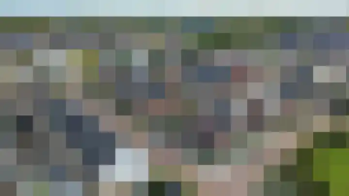 Koekoeksbloem 6 Dongen thumbnail 4