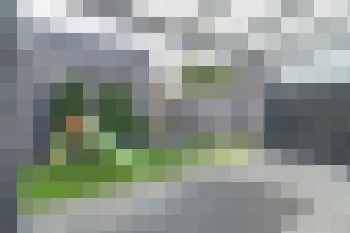 Koekoeksbloem 6 Dongen thumbnail 40