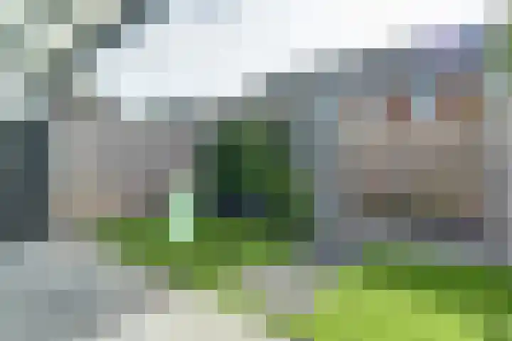 Koekoeksbloem 6 Dongen thumbnail 41