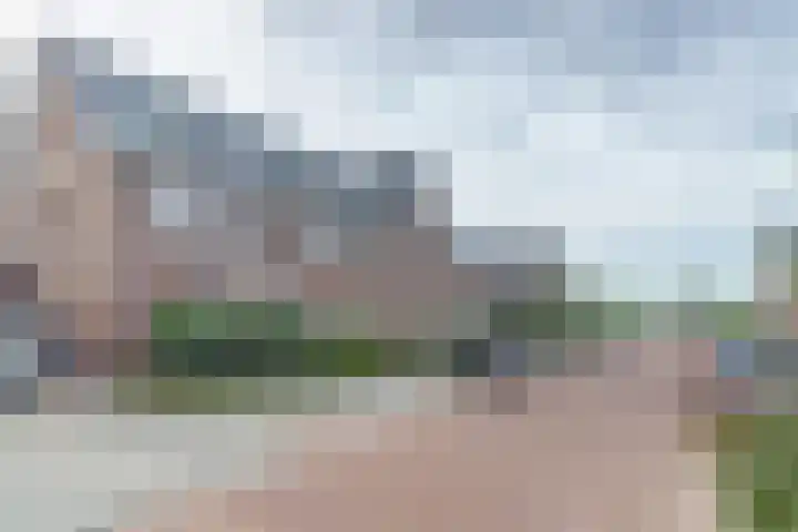 Koekoeksbloem 6 Dongen thumbnail 44