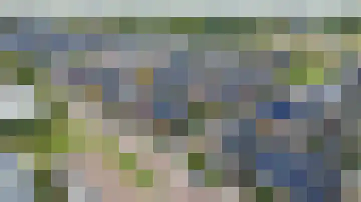 Koekoeksbloem 6 Dongen thumbnail 45