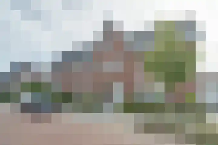 Koekoeksbloem 6 Dongen thumbnail 7