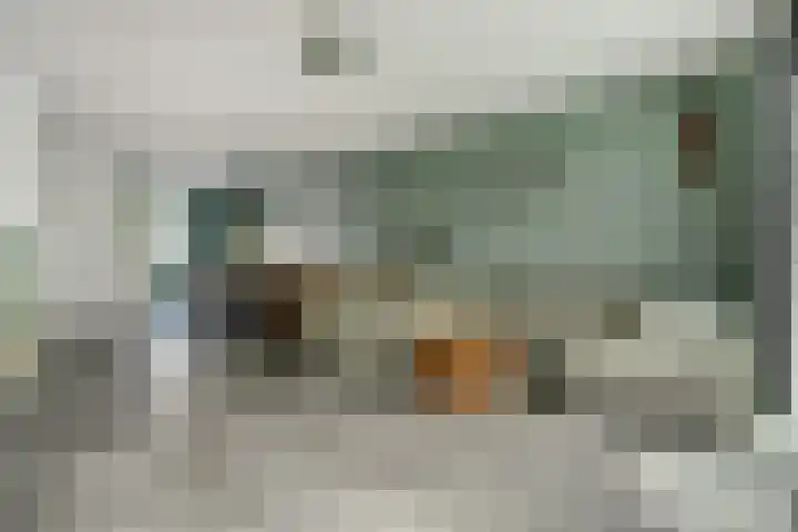 Koekoeksbloem 6 Dongen thumbnail 9