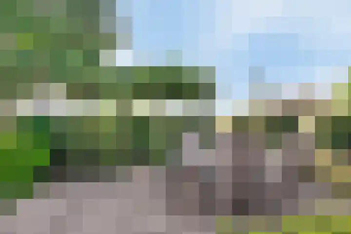 Koekoeksbloem 6 Heerjansdam thumbnail 10