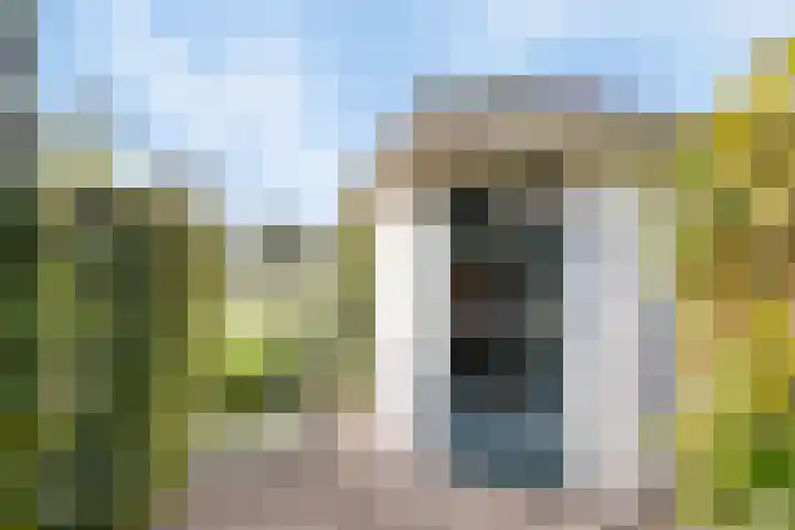 Koekoeksbloem 6 Heerjansdam thumbnail 13