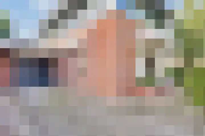 Koekoeksbloem 6 Heerjansdam thumbnail 17