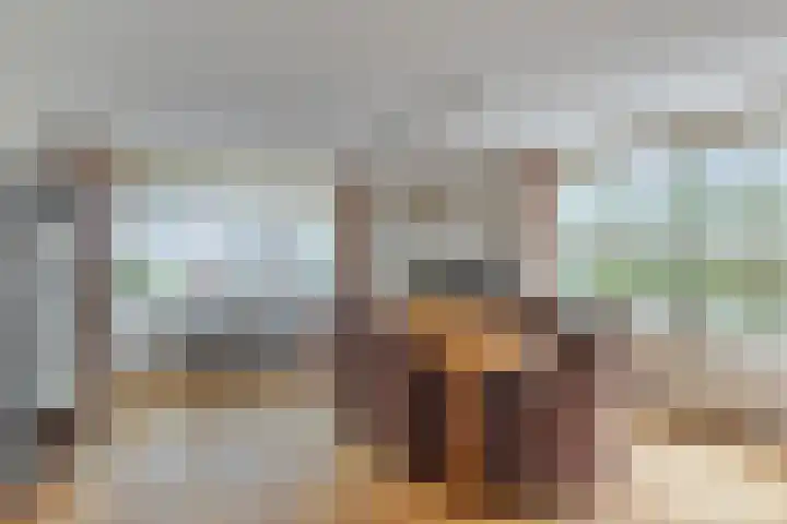 Koekoeksbloem 6 Heerjansdam thumbnail 23