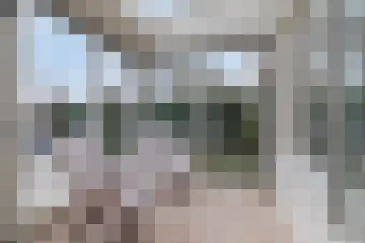 Koekoeksbloem 6 Heerjansdam thumbnail 24