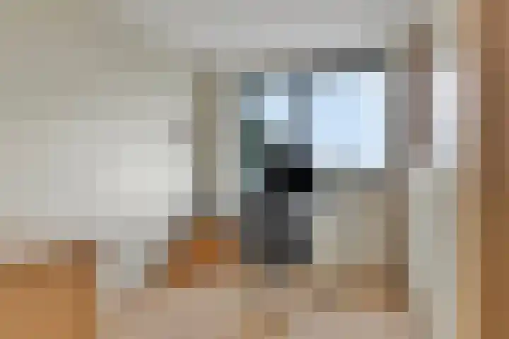 Koekoeksbloem 6 Heerjansdam thumbnail 35