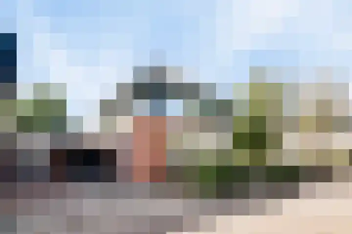 Koekoeksbloem 6 Heerjansdam thumbnail 38