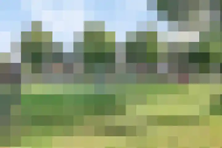 Koekoeksbloem 6 Heerjansdam thumbnail 4