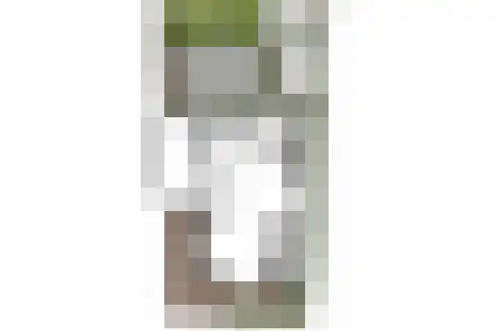 Koekoeksbloem 6 Heerjansdam thumbnail 43