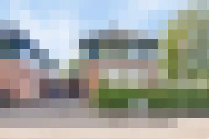 Koekoeksbloem 6 Heerjansdam thumbnail 5