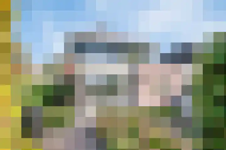 Koekoeksbloem 6 Heerjansdam thumbnail 6