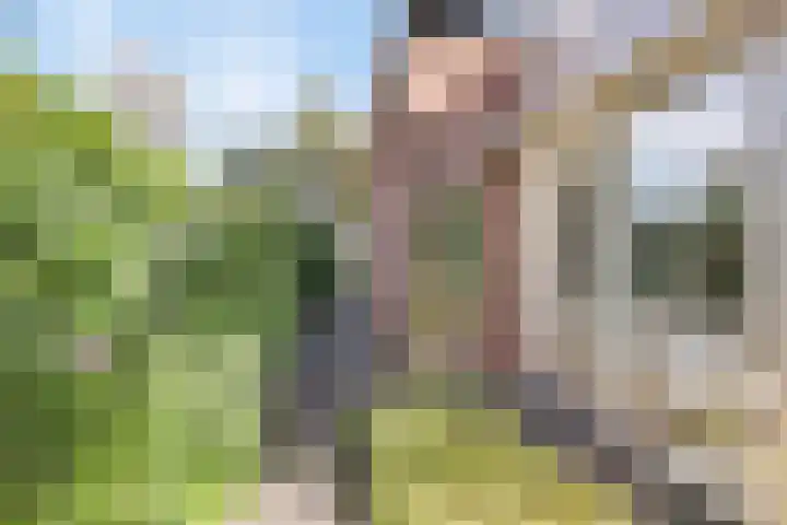Koekoeksbloem 6 Heerjansdam thumbnail 7