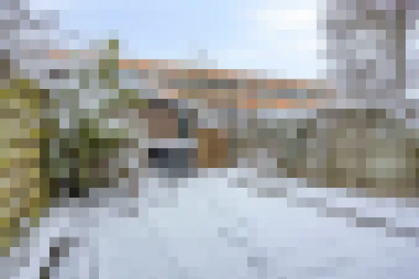 Koekoeksbloem 6 Uithoorn thumbnail 25