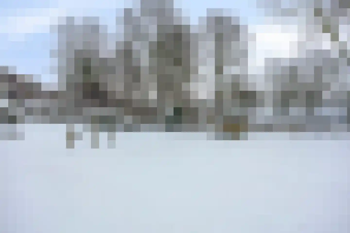 Koekoeksbloem 6 Uithoorn thumbnail 30