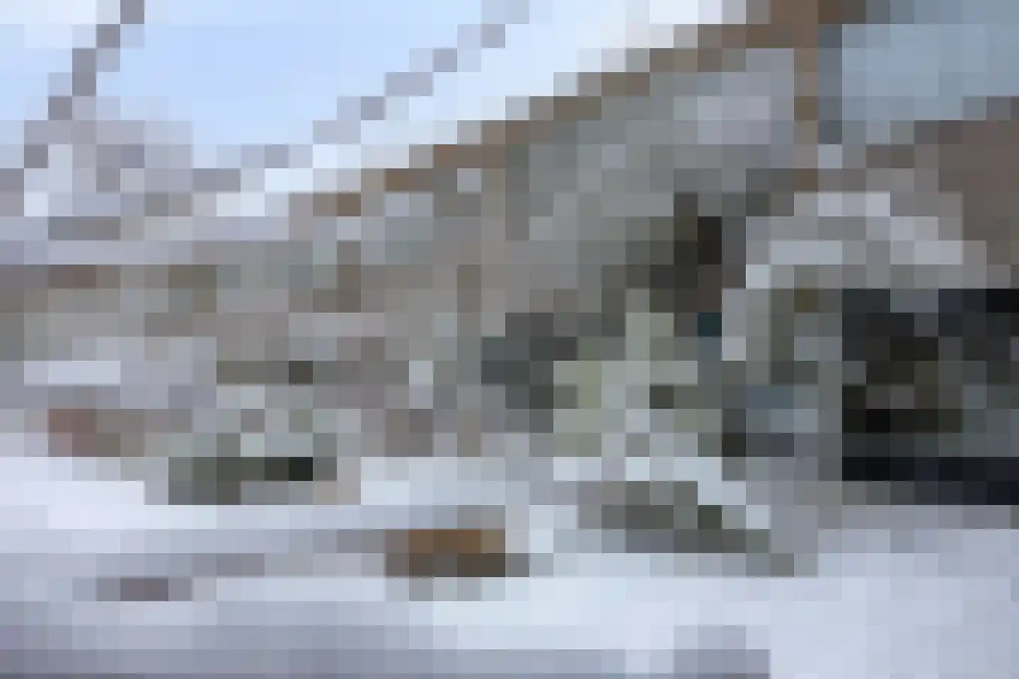 Koekoeksbloem 6 Uithoorn thumbnail 33
