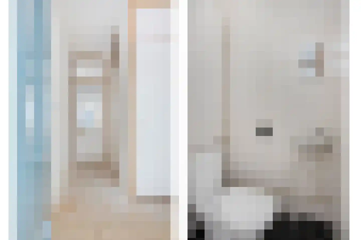 Koekoeksbloem 6 Uithoorn thumbnail 7