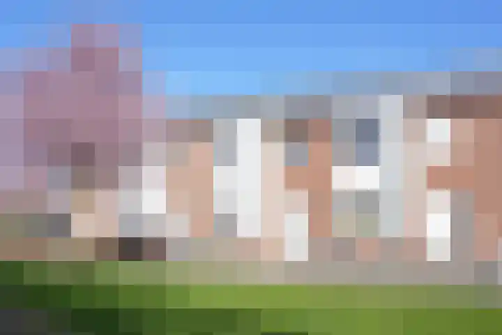 Koekoeksbloem 61 Eijsden