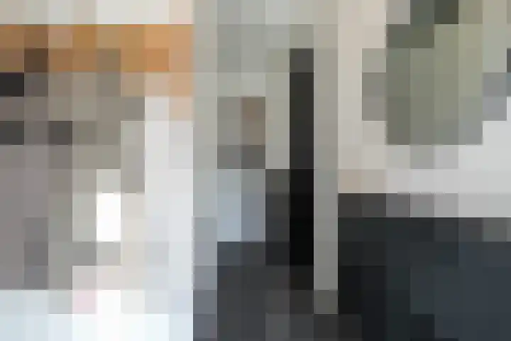 Koekoeksbloem 61 Eijsden thumbnail 19