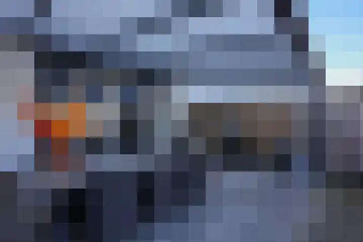 Koekoeksbloem 61 Eijsden thumbnail 30