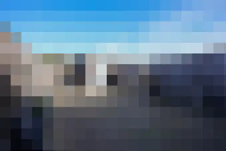 Koekoeksbloem 61 Eijsden thumbnail 32