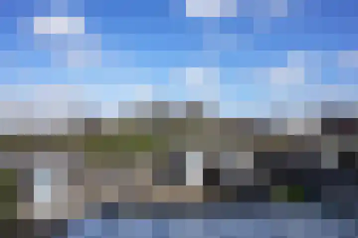 Koekoeksbloem 61 Eijsden thumbnail 35