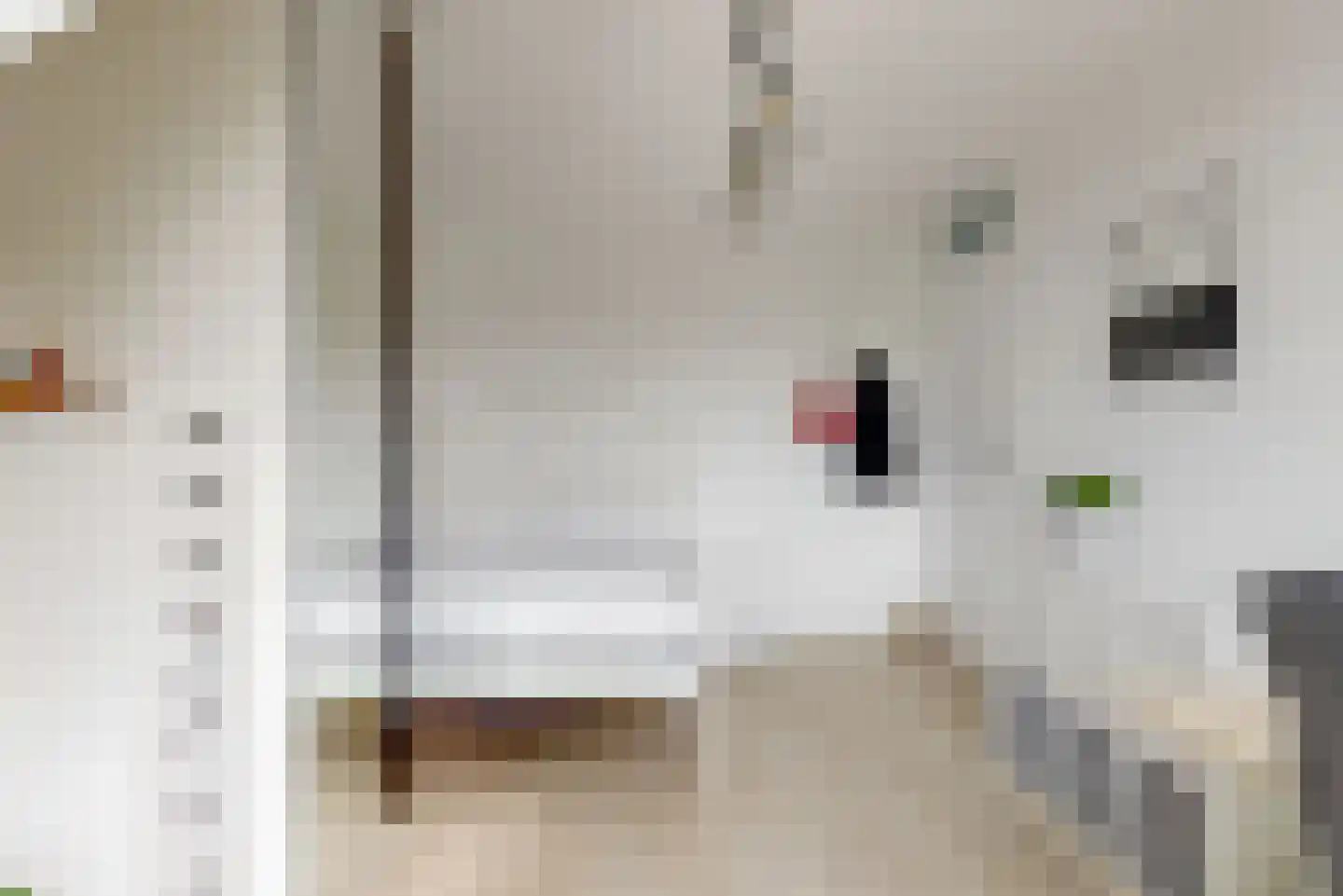 Koekoeksbloem 64 Odijk thumbnail 18