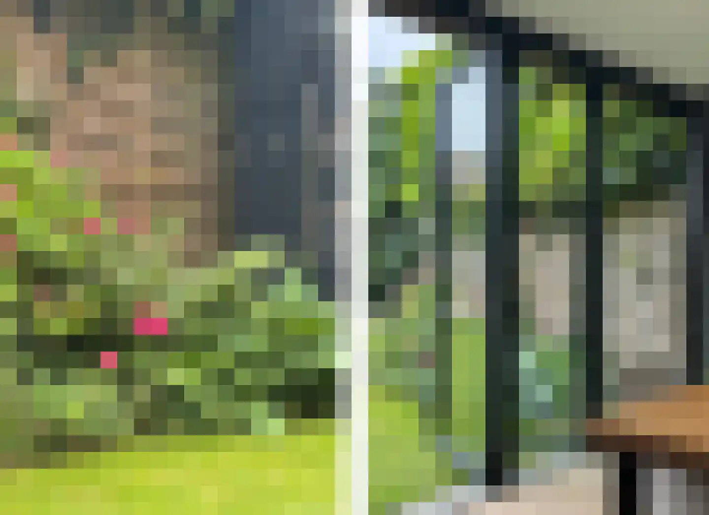 Koekoeksbloem 64 Odijk thumbnail 32