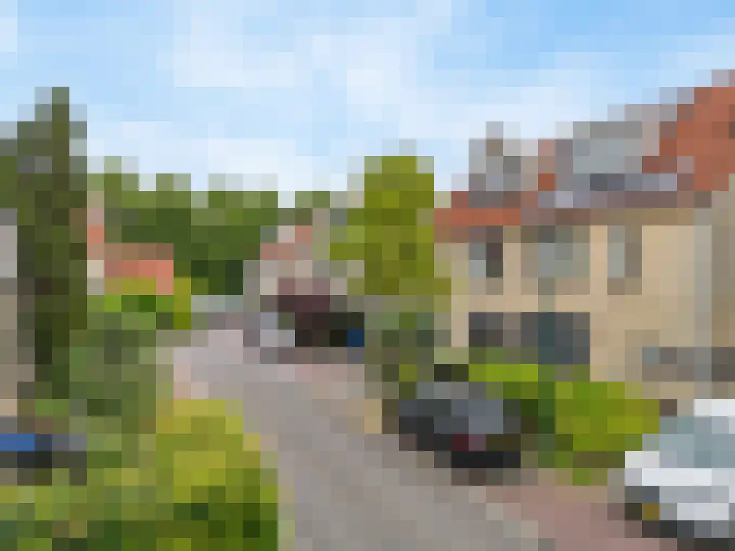 Koekoeksbloem 64 Odijk thumbnail 49