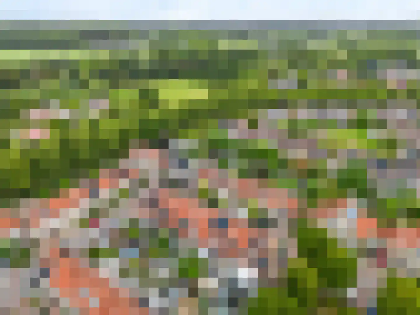 Koekoeksbloem 64 Odijk thumbnail 50