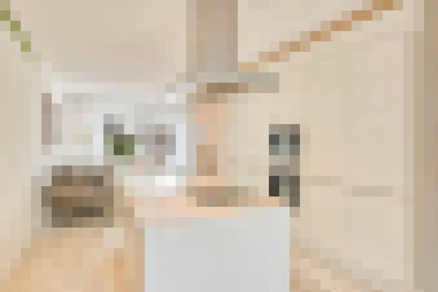 Koekoeksbloem 84 Eijsden thumbnail 11