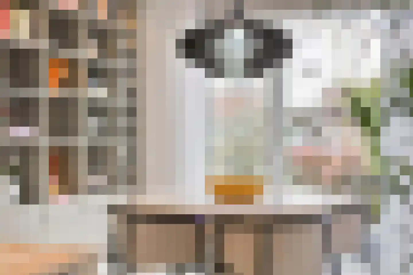 Koekoeksbloem 84 Eijsden thumbnail 16