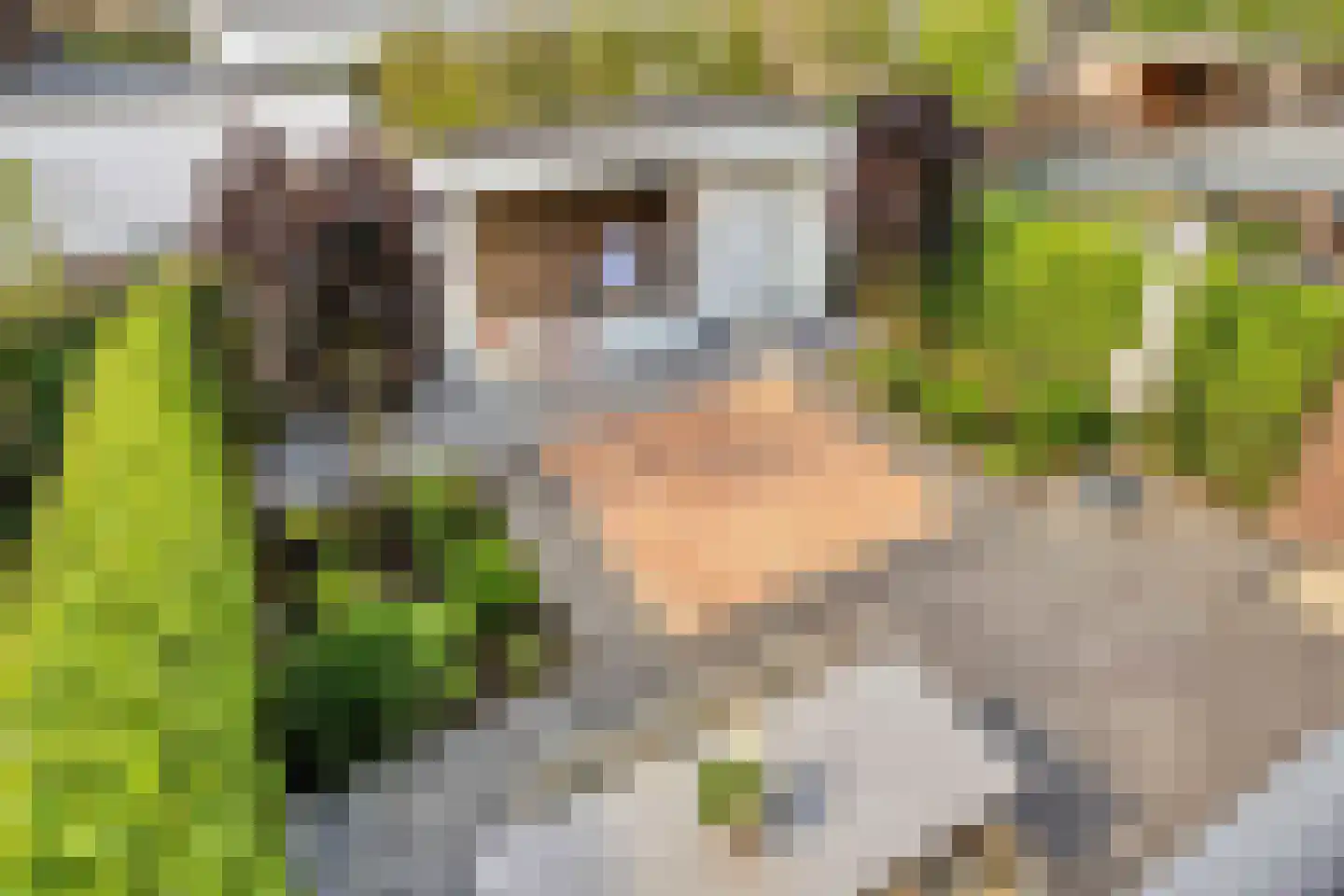 Koekoeksbloem 84 Eijsden thumbnail 34