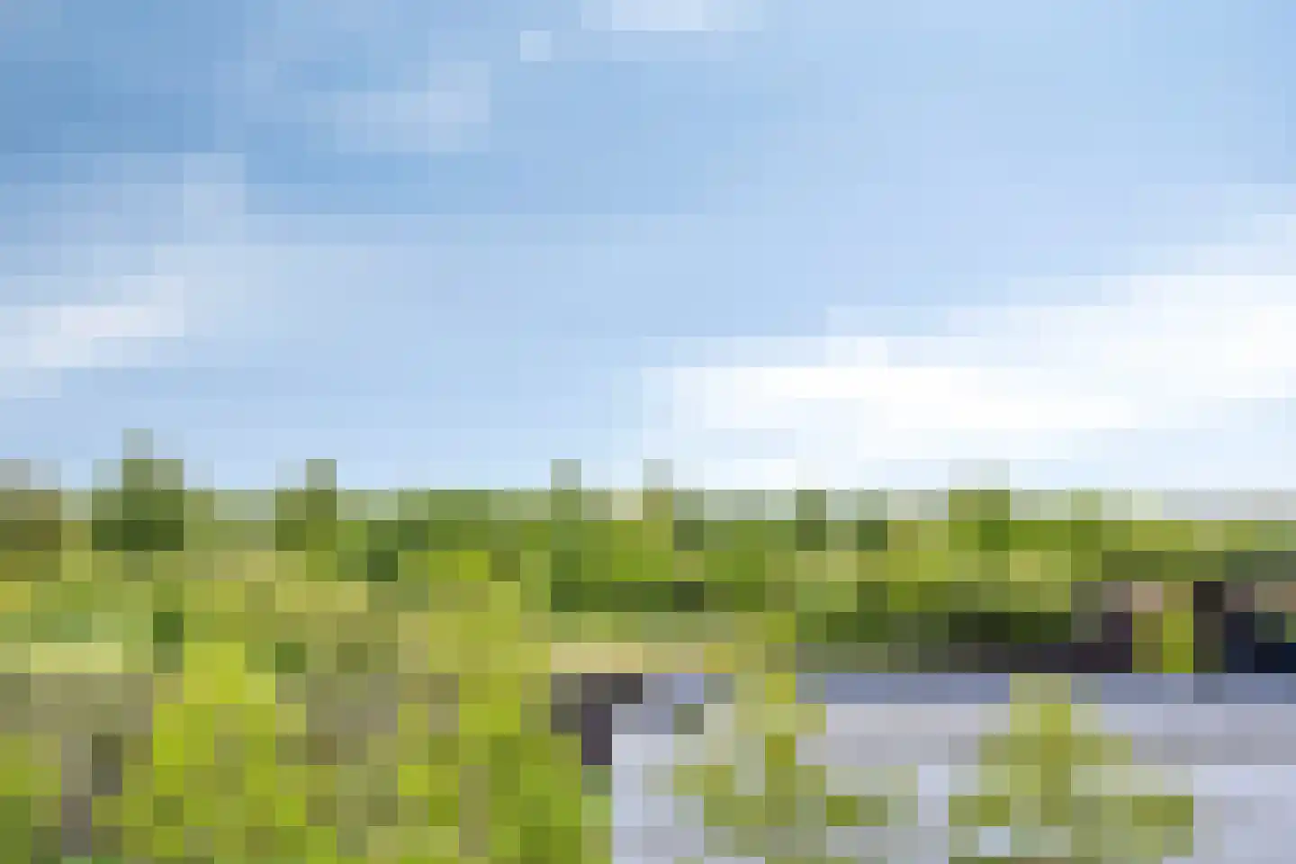 Koekoeksbloem 84 Eijsden thumbnail 35