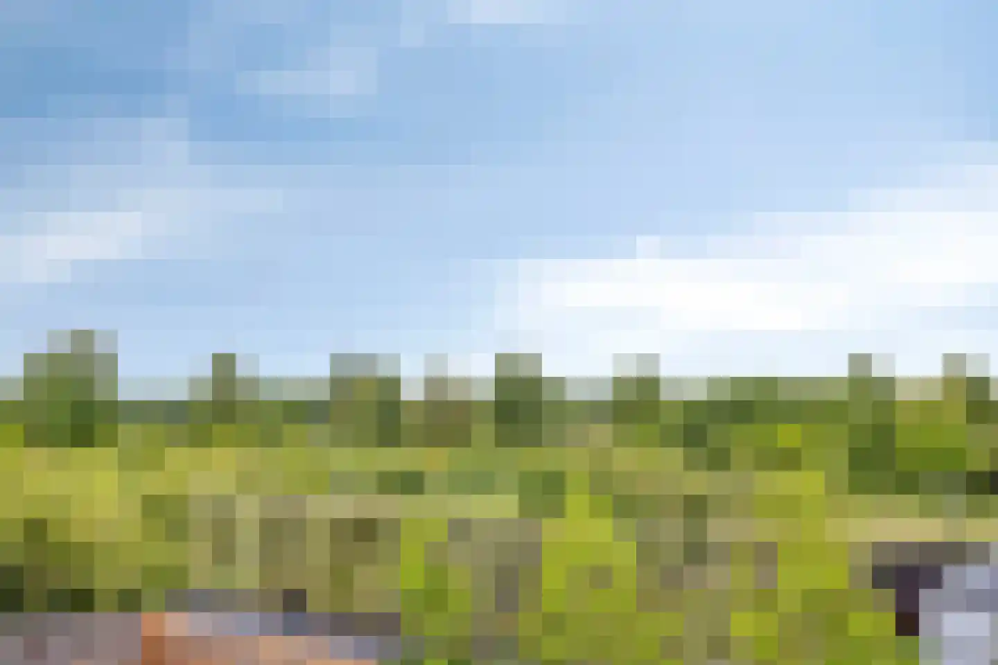 Koekoeksbloem 84 Eijsden thumbnail 36