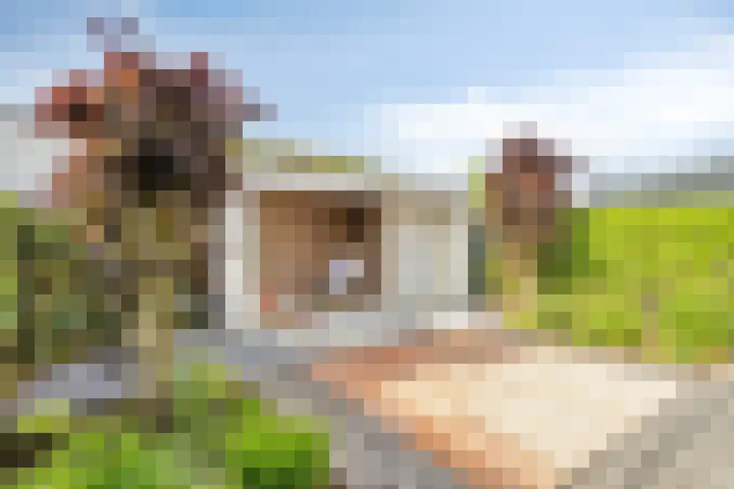 Koekoeksbloem 84 Eijsden thumbnail 39