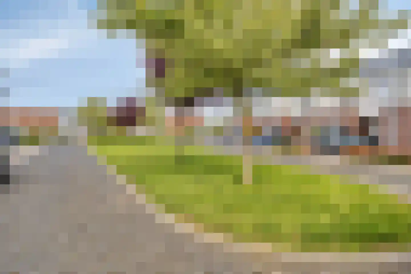 Koekoeksbloem 84 Eijsden thumbnail 48
