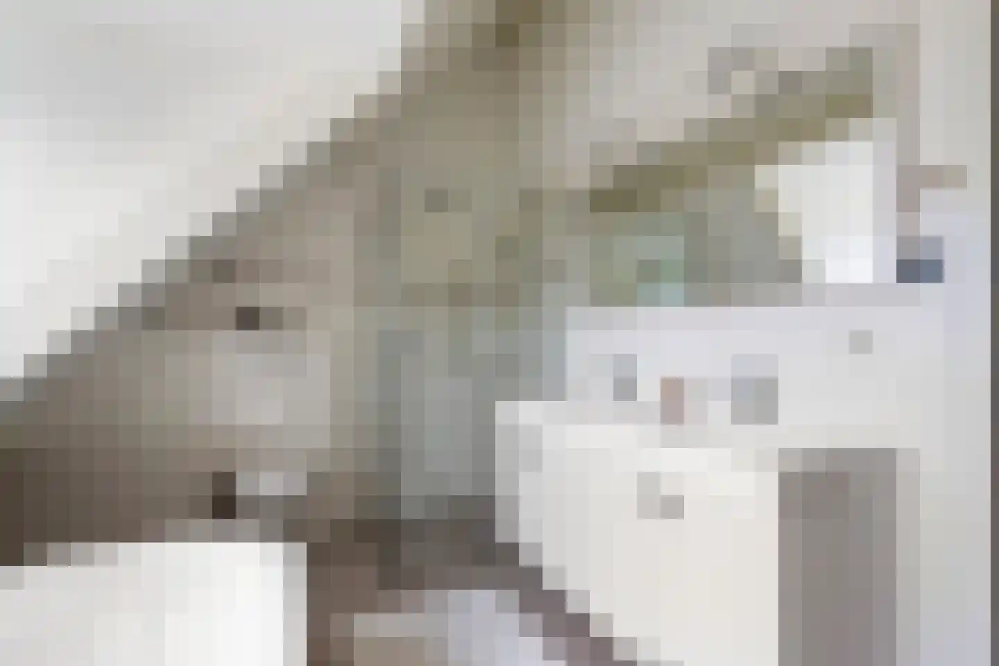 Koekoeksbloemlaan 3 Baarn thumbnail 24