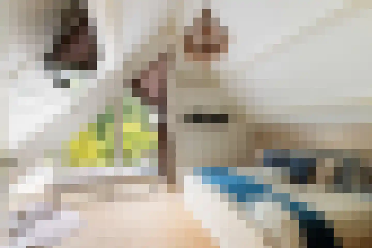 Koekoeksbloemlaan 3 Baarn thumbnail 26