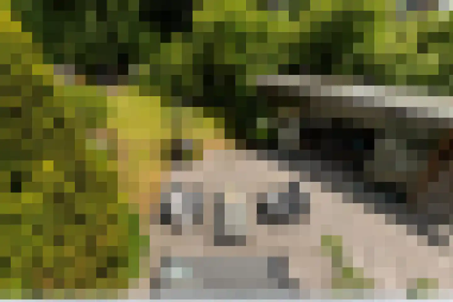 Koekoeksbloemlaan 3 Baarn thumbnail 29