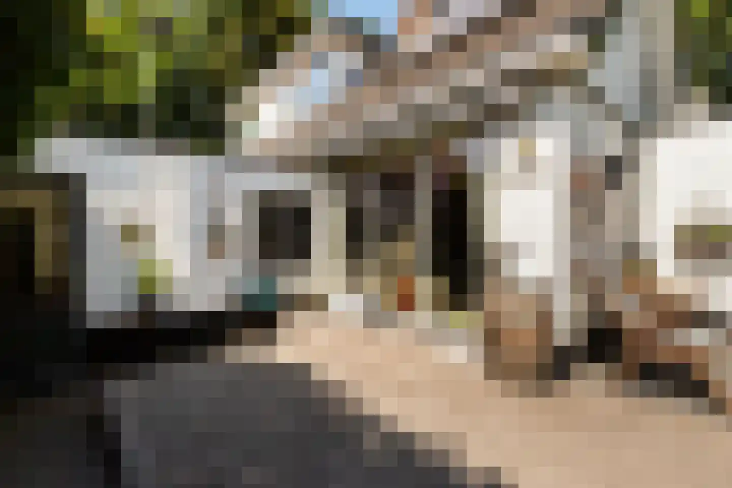Koekoeksbloemlaan 3 Baarn thumbnail 30