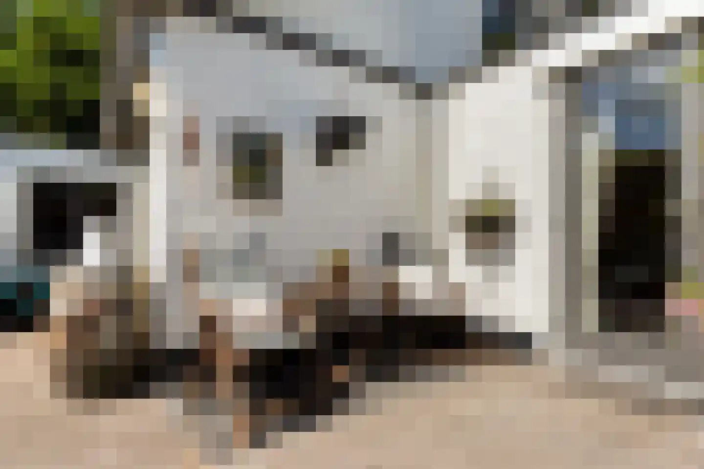 Koekoeksbloemlaan 3 Baarn thumbnail 31