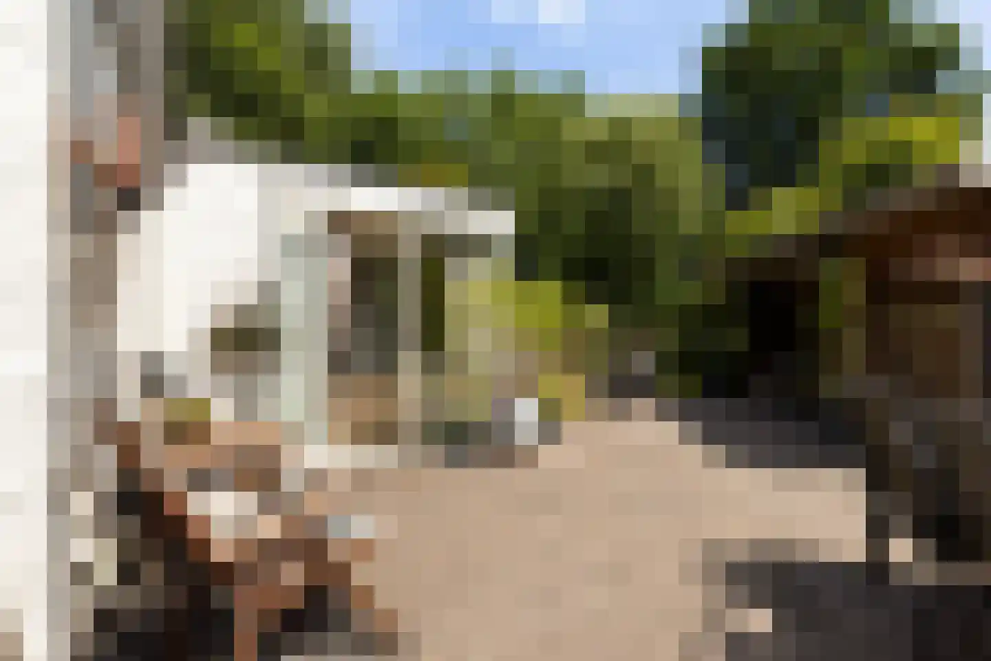 Koekoeksbloemlaan 3 Baarn thumbnail 32