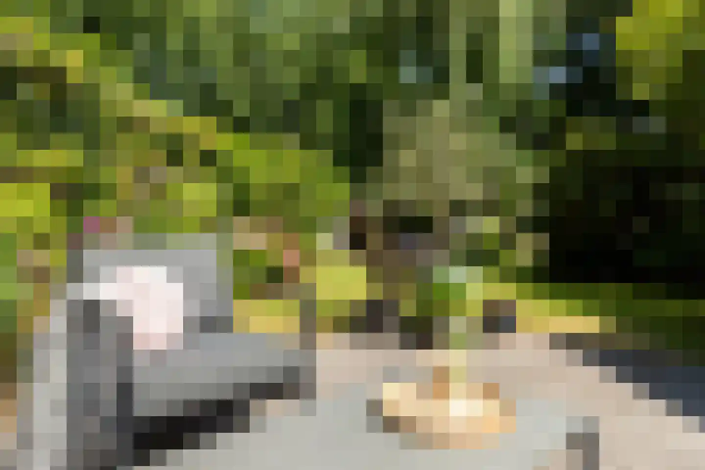 Koekoeksbloemlaan 3 Baarn thumbnail 36
